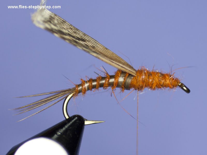 of ear your parts to pattern tying nymph How Fly Step Stonefly fly, tie by of ear your parts to pattern tying nymph How Fly Step Stonefly fly, tie by
